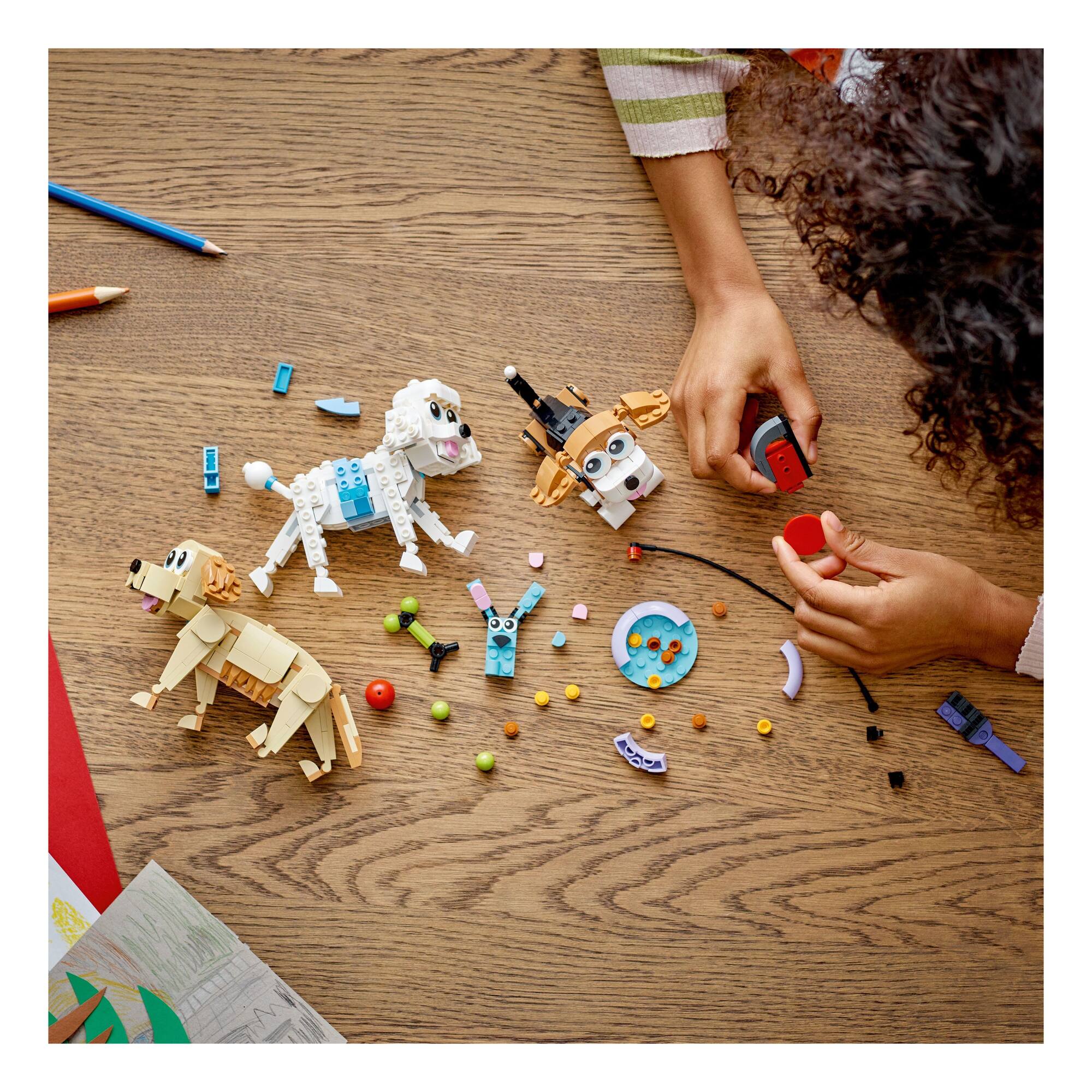 LEGO® Creator™ 3in1 Adorable Dogs
